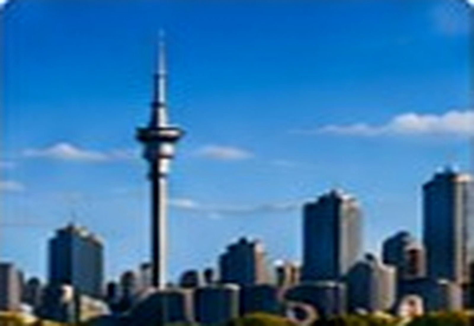 Auckland New Zealand skyline
