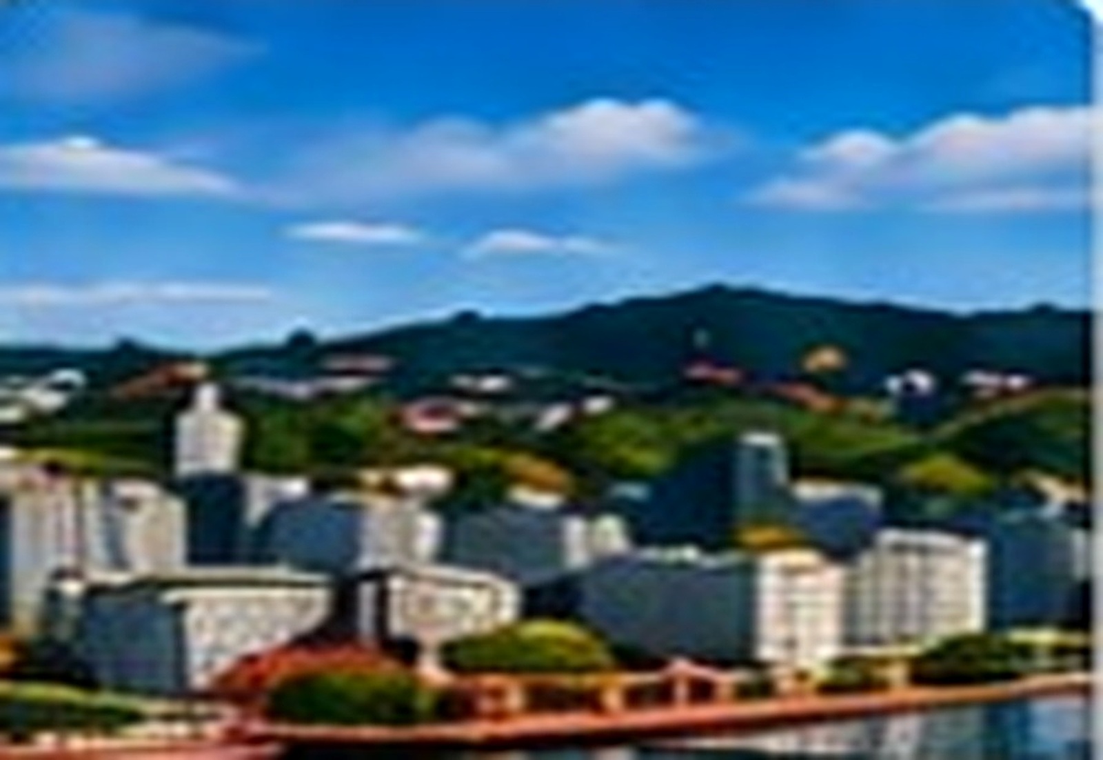 Wellington New Zealand harbour